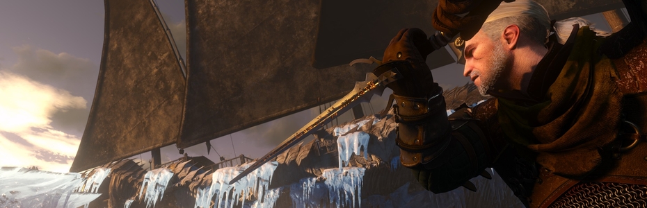 The Witcher