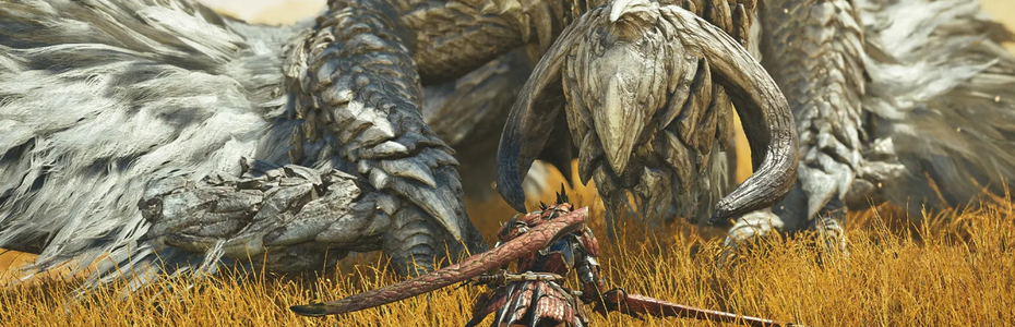 Monster Hunter